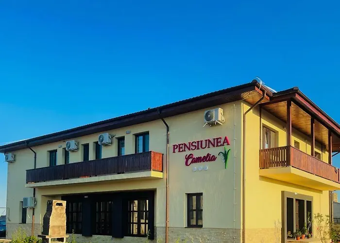Pensiunea Camelia Baia, România