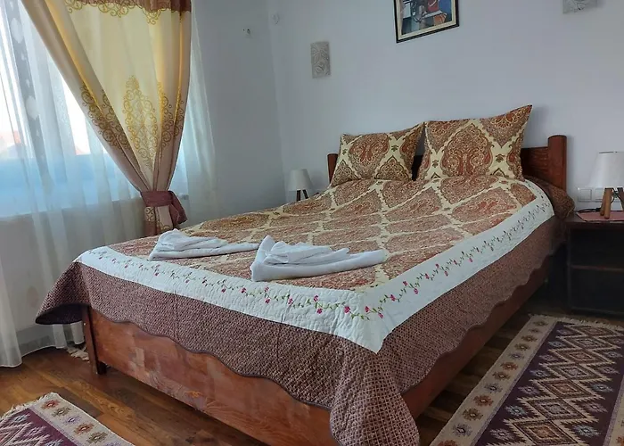 Pensiunea Albina Sinnicoara, România
