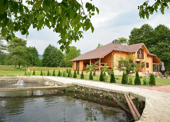 Pensiunea Colt Alb Sibisel (Rau de Mori, Hunedoara), România