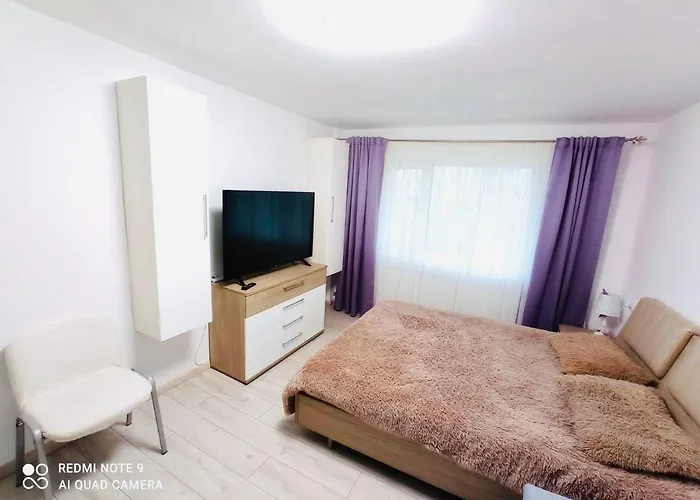 Garsonieră Daniela