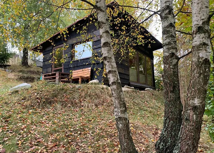 Trees House Parang