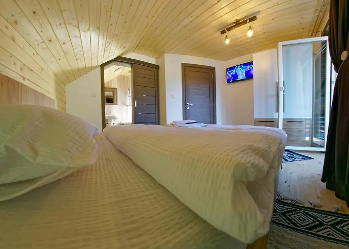 La Roata Timpului Villa Câmpulung Moldovenesc, România