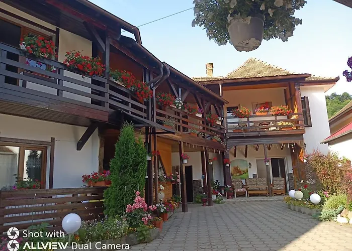 Pensiunea Liana Nemsa, România
