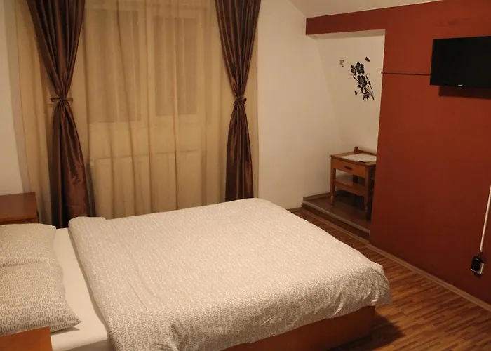 Vila Casa Ta Sinaia, România