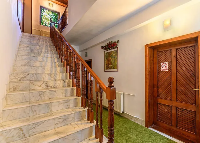 Pension Casa Bradul