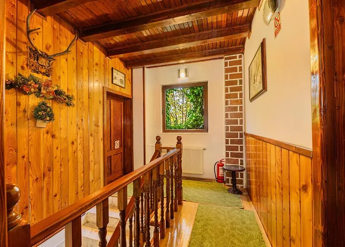 Pension Casa Bradul
