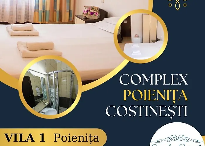 Vila Poienita