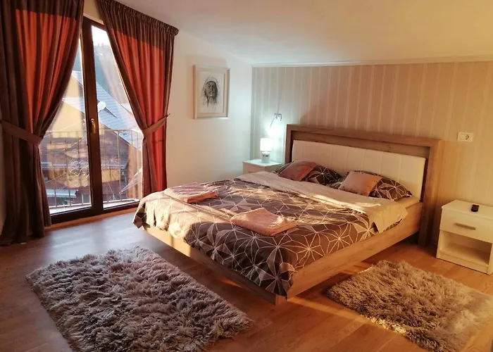 Pensiunea Timiș Borşa, România