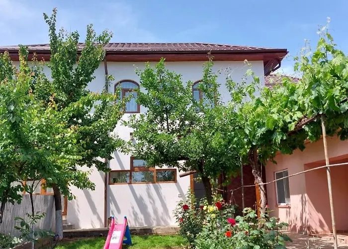 Agropensiunea Olteanu