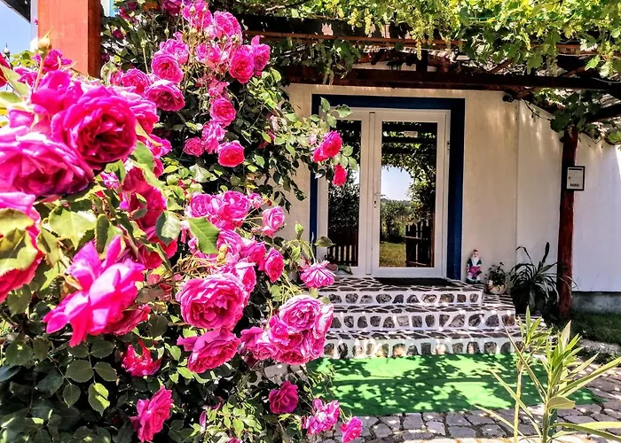 Teo Guest Rooms