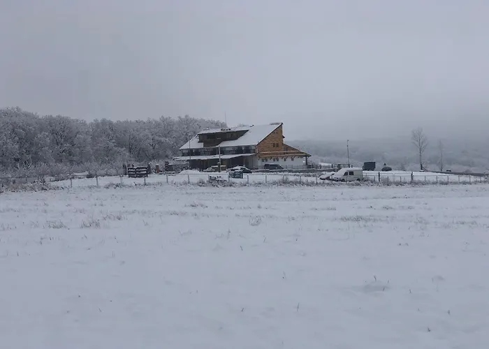 Marada Felix Hotel Hidişelul-de Sus, România