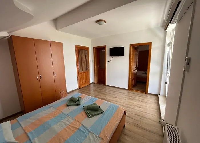 Vila Nei Lugoj, România