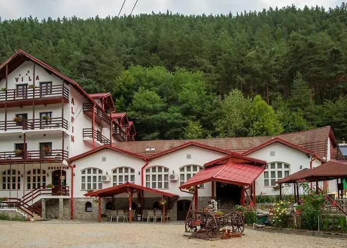 Pensiunea Alpin