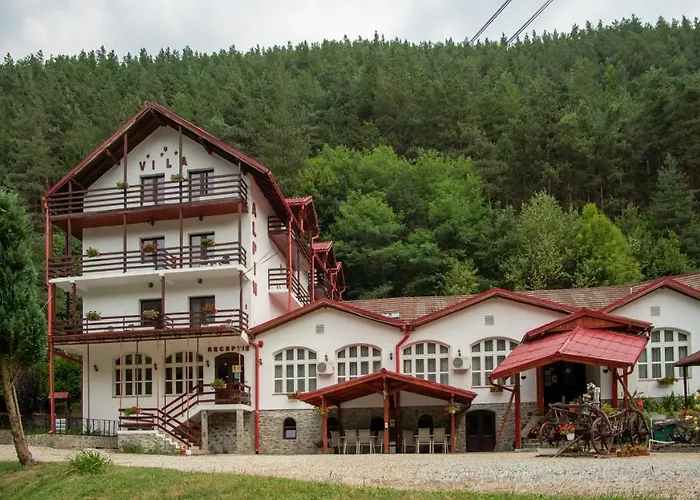 Pensiunea Alpin Păltiniş, România