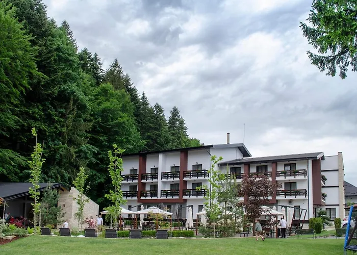 Piatra Pinului Ski&Spa