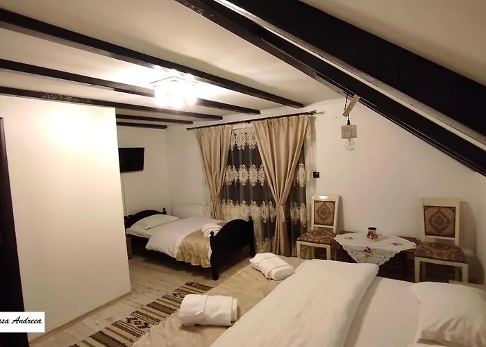Pensiunea Casa Andreea - Bârsana Maramureș Bîrsana, România