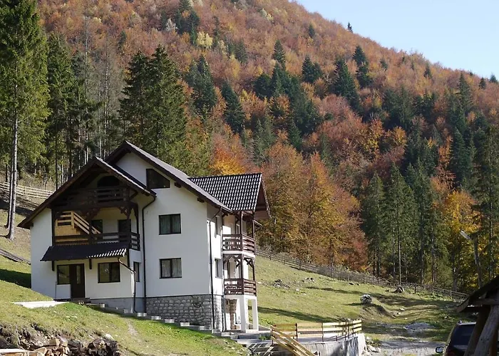 Caprioara - Piatra Craiului