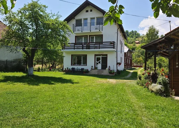Pensiunea Constanta Bran , România