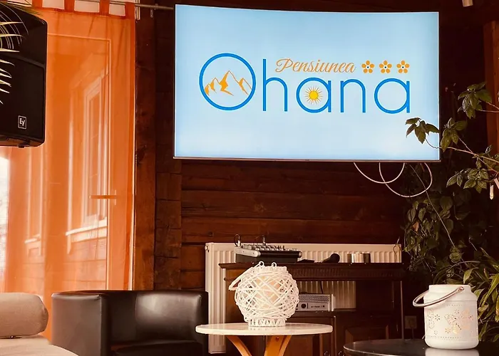 Pensiunea Ohana Vistea de Sus, România