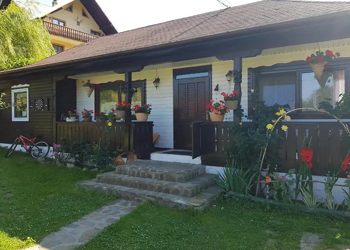Pensiunea Daria Putna, România