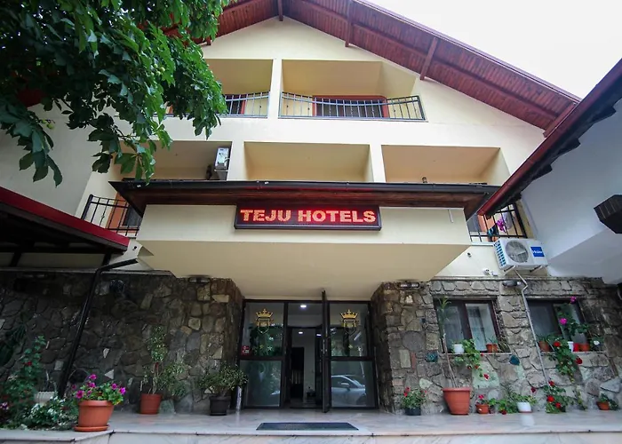 Teju Hotels
