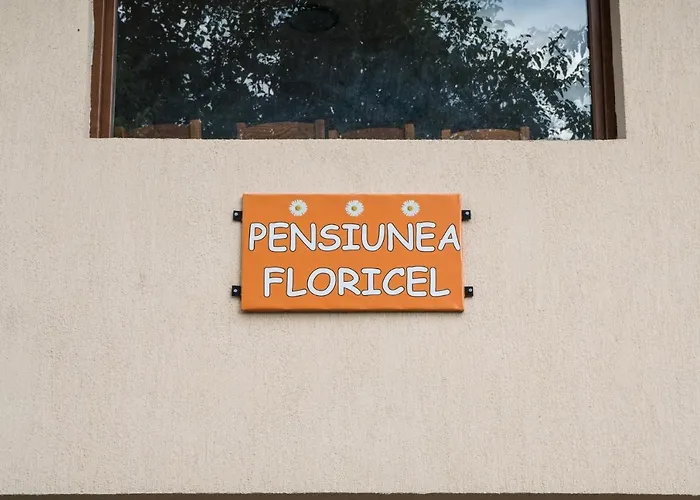 Pensiunea Floricel Stoenesti , Romania