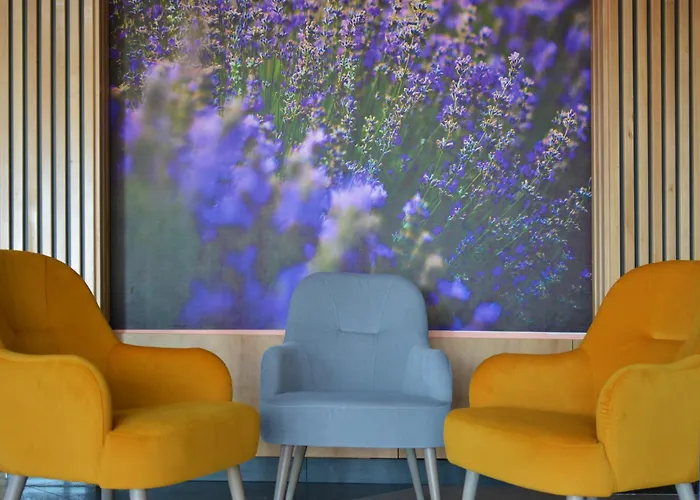 Mercure Medias Binderbubi Hotel And Spa