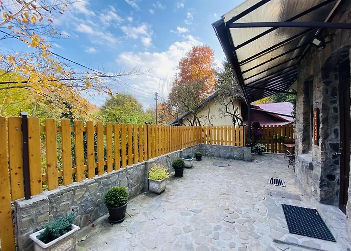 Apartment Carol Private Yard With Barbeque And Parking