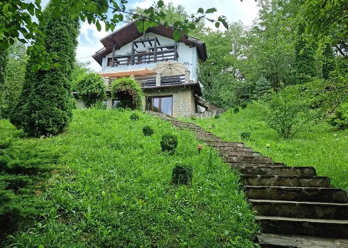 VILA GIGI, ideala pentru relaxare si distractie!