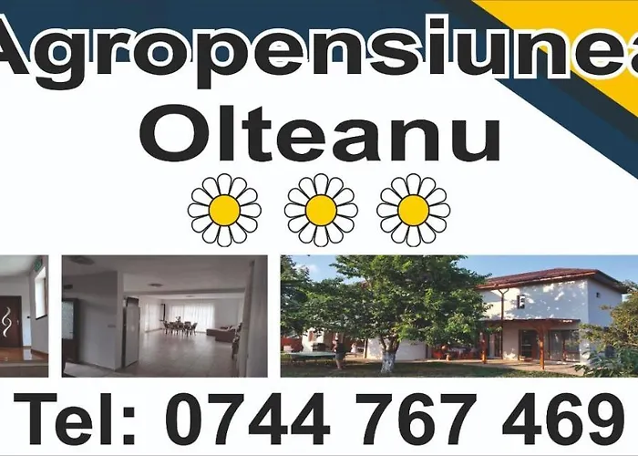 Agropensiunea Olteanu