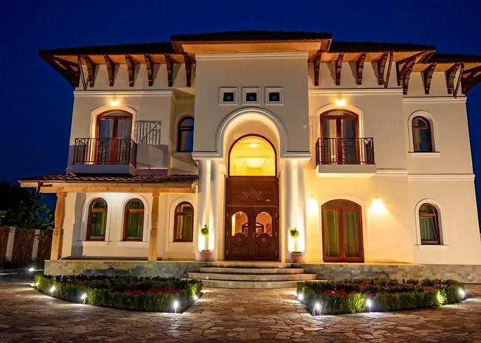 Conacul Olarilor Bed & Breakfast Baia de Fier, România