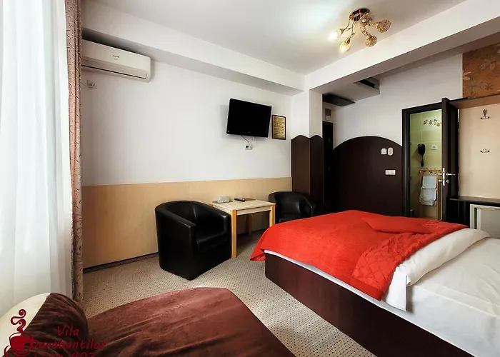 Vila Dorobantilor Cluj-Napoca, România
