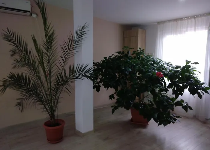 Pensiunea Casa Rusu Baia Mare, Romania