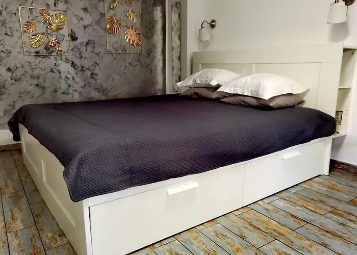 Stay In Tmisoara