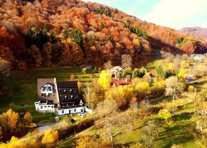 Pensiunea Ursuleț Bran Bran , România