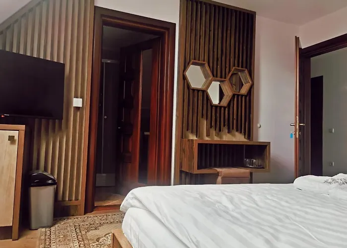 Vila Platon Velea Seaca , România