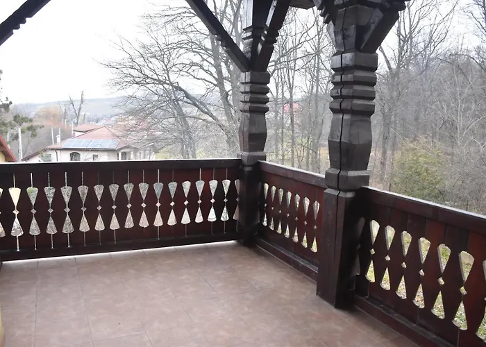 Pensiunea Sasha Barnova, România