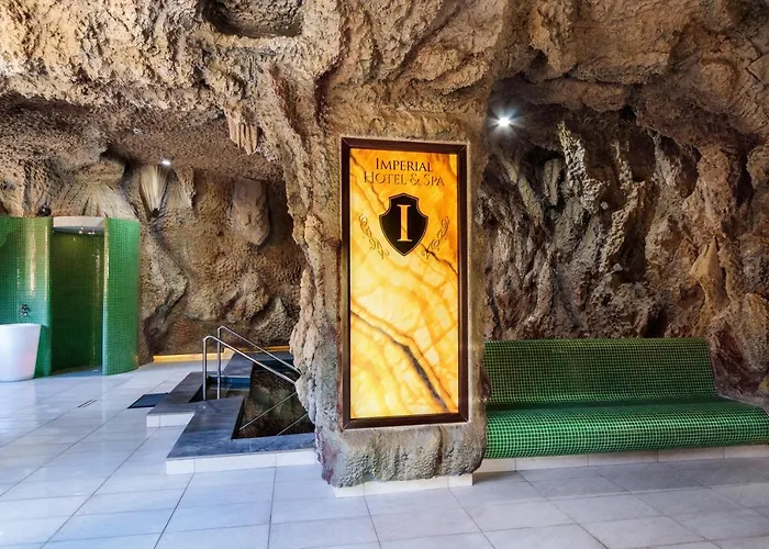 Imperial Hotel&Spa - Baile Olanesti