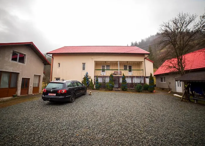 Casa Cosmina Arieseni
