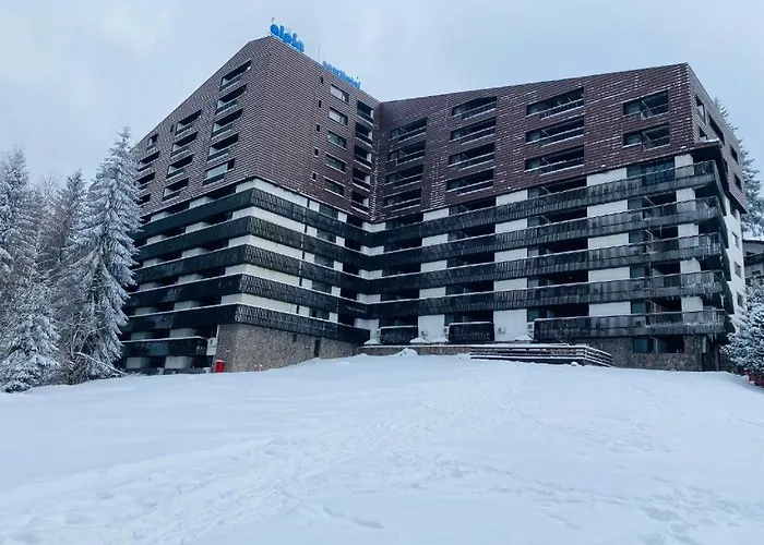 Alpin Resort Hotel - Apartamentele 2403-2404- proprietate administrata de gazda privata