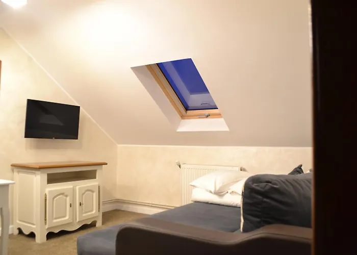 Pensiunea Casa Doamnei Voronet