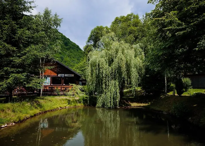 Fratii Jderi - Utopia Verde Brezoi, România
