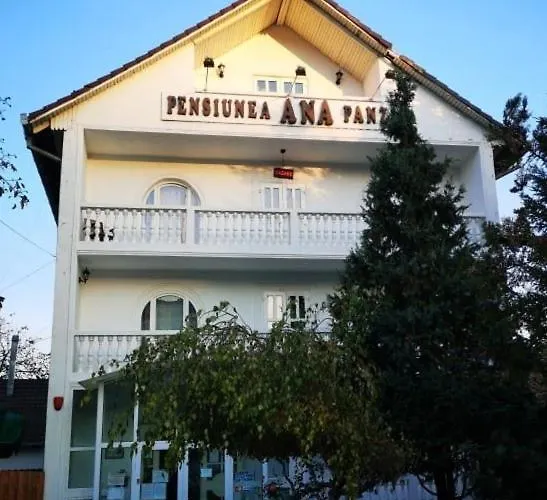 Pensiunea Ana