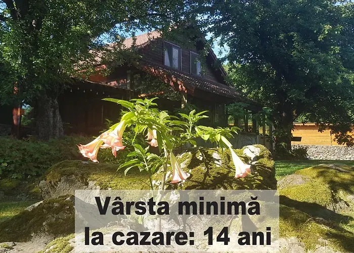 Casa Bunicului
