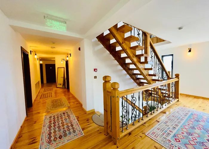 Panoramic Sus In Deal