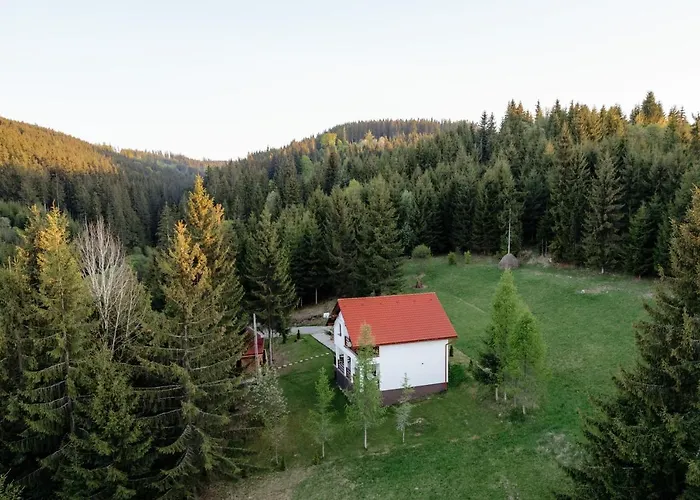 Casa Cifu Toplita