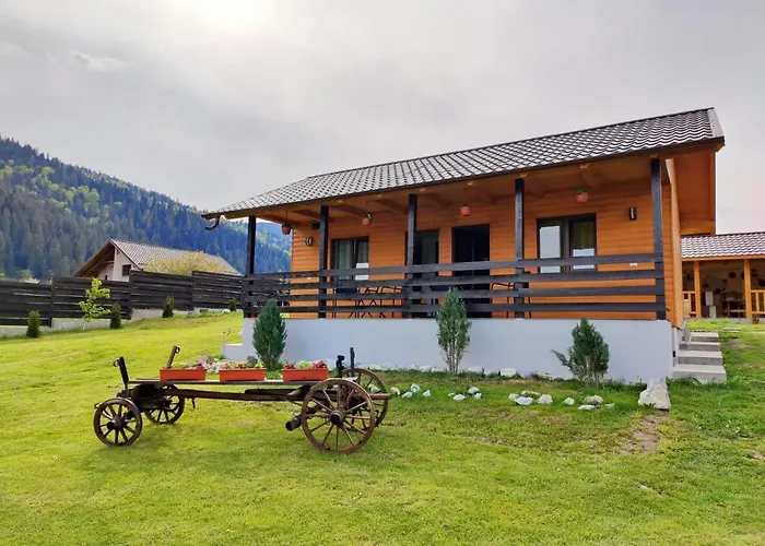 Casa Poiana Teiului