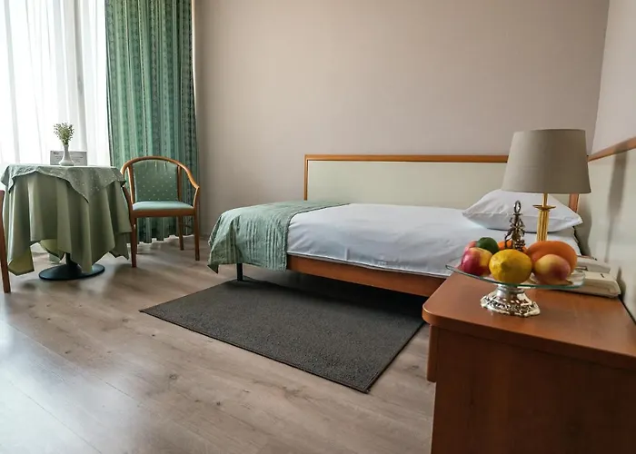 Hotel Trotuş Onesti, România