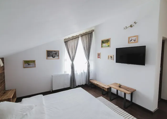 Cocosul De Munte Hotel Baia de Fier, România