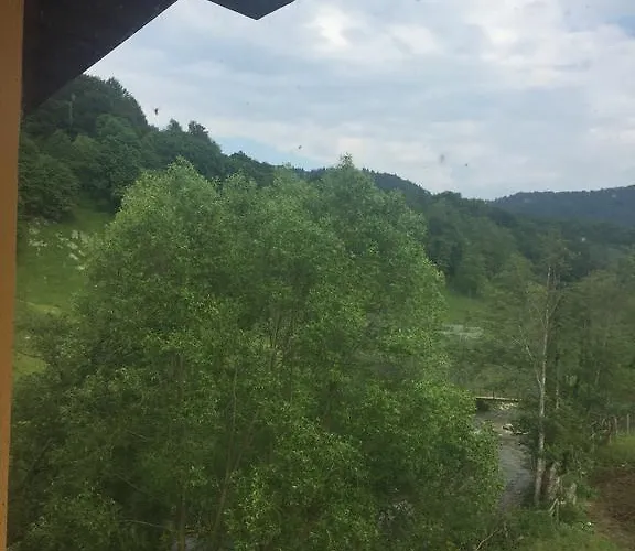 Pensiunea Silvian